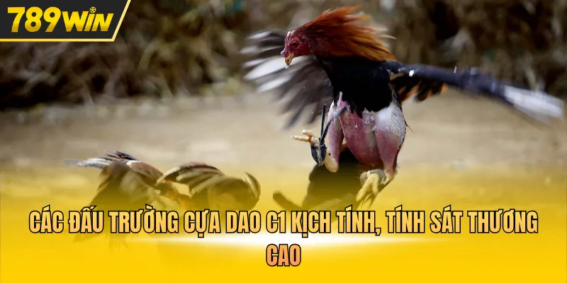 Các đấu trường cựa dao C1 kịch tính, tính sát thương cao