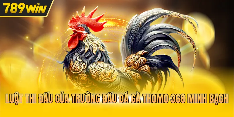Luật thi đấu của trường đấu đá gà Thomo 368 minh bạch