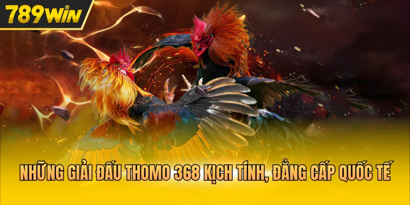 Những giải đấu Thomo 368 kịch tính, đẳng cấp quốc tế