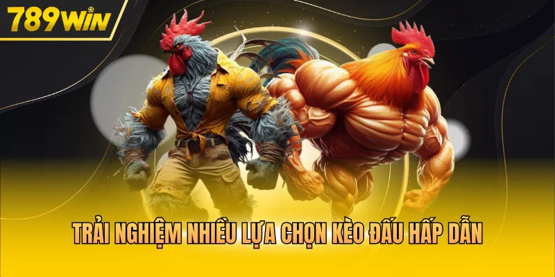 Trải nghiệm nhiều lựa chọn kèo đấu hấp dẫn